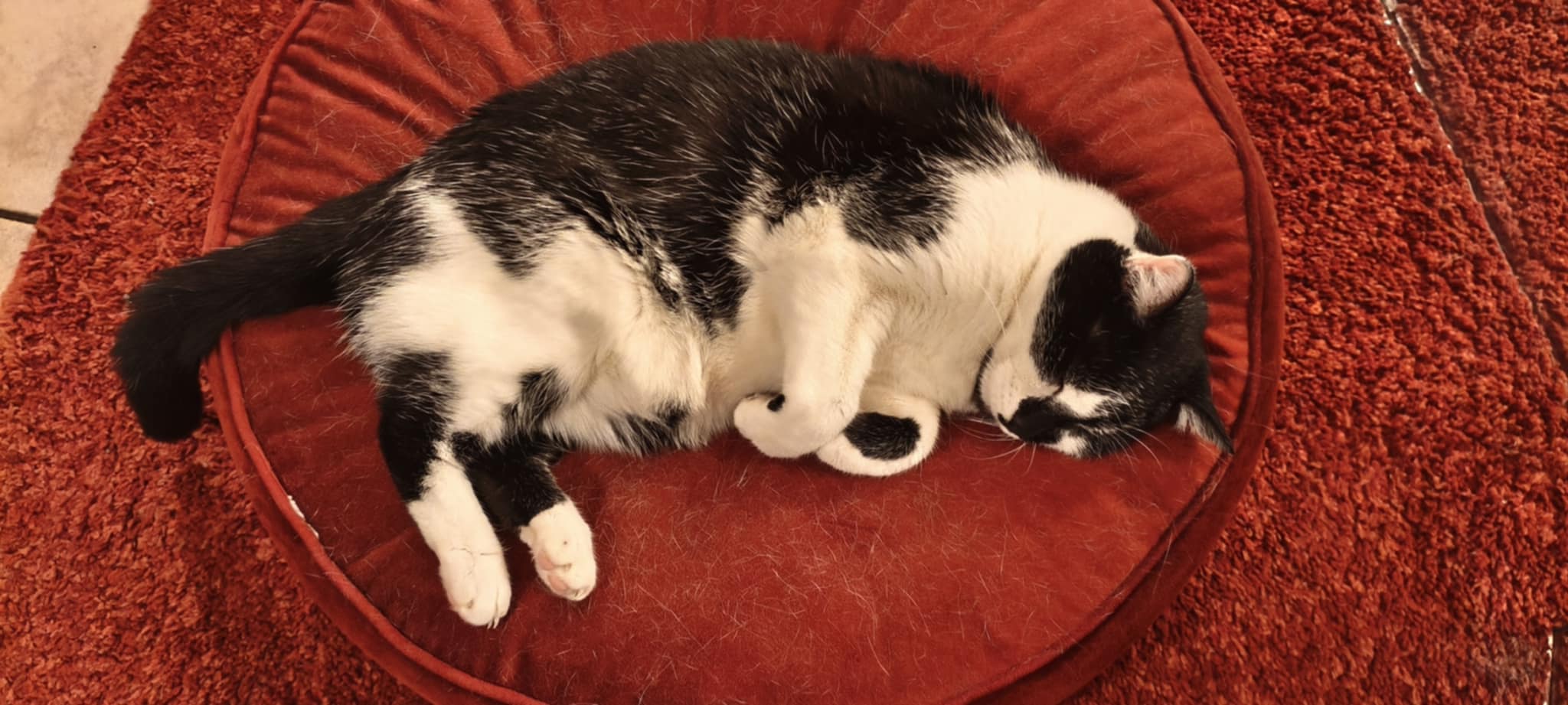 Sapin de Noël décoré de boules rouges et dorées, guirlandes et lumières